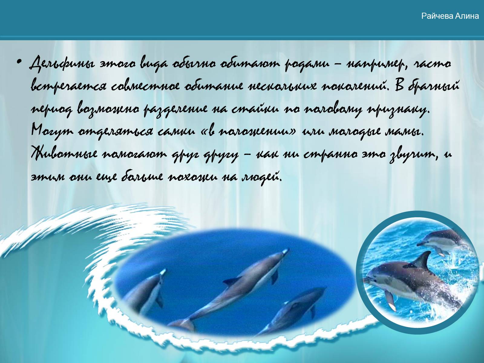 Презентація на тему «Морская жизнь дельфинов» - Слайд #6