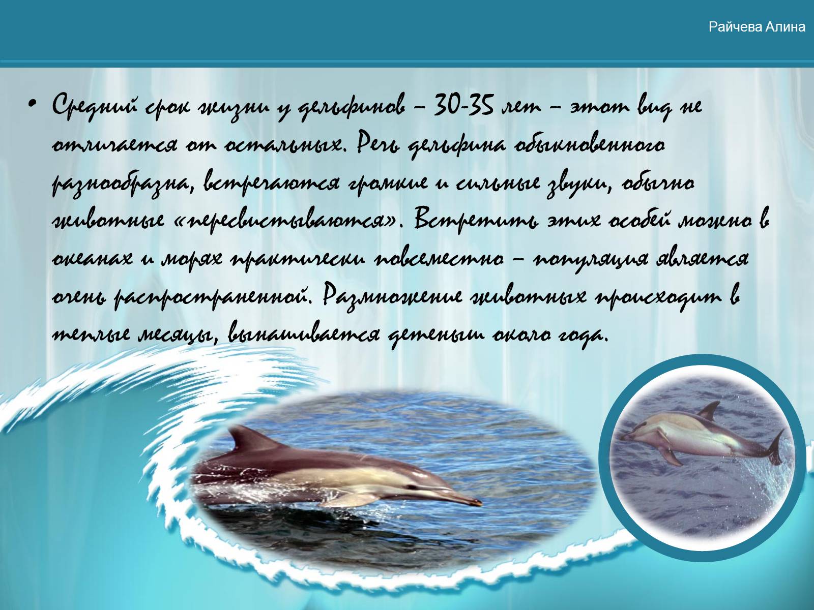 Презентація на тему «Морская жизнь дельфинов» - Слайд #7