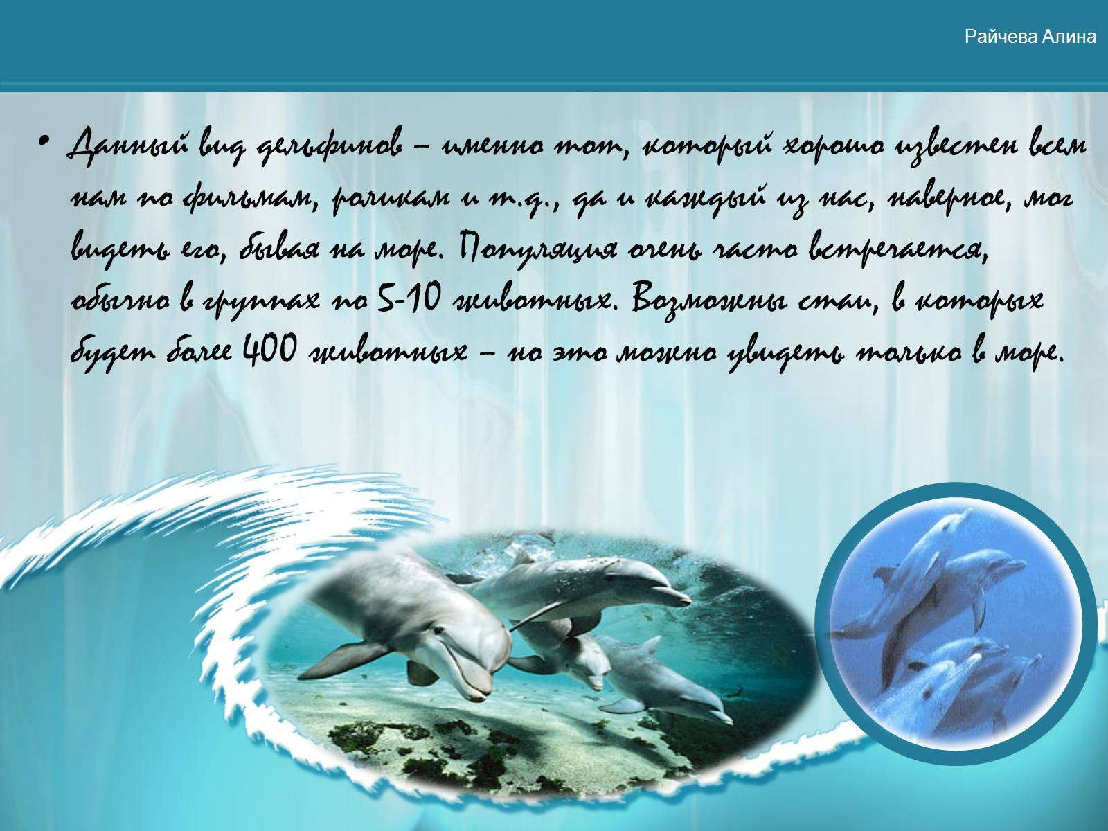 Презентація на тему «Морская жизнь дельфинов» - Слайд #10