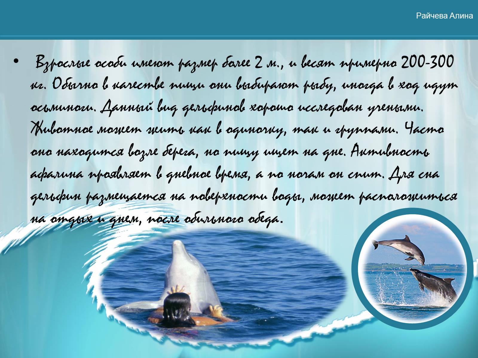 Презентація на тему «Морская жизнь дельфинов» - Слайд #11