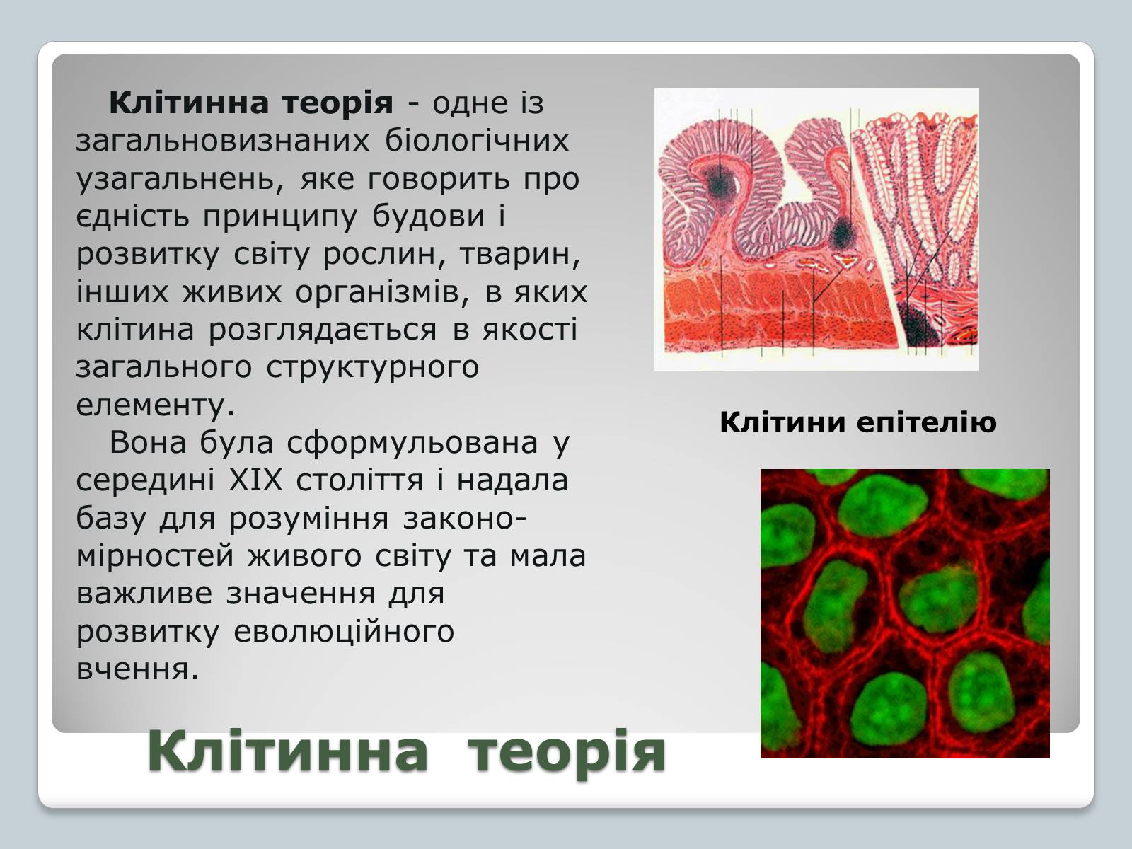 Презентація на тему «Клітинна теорія» - Слайд #2