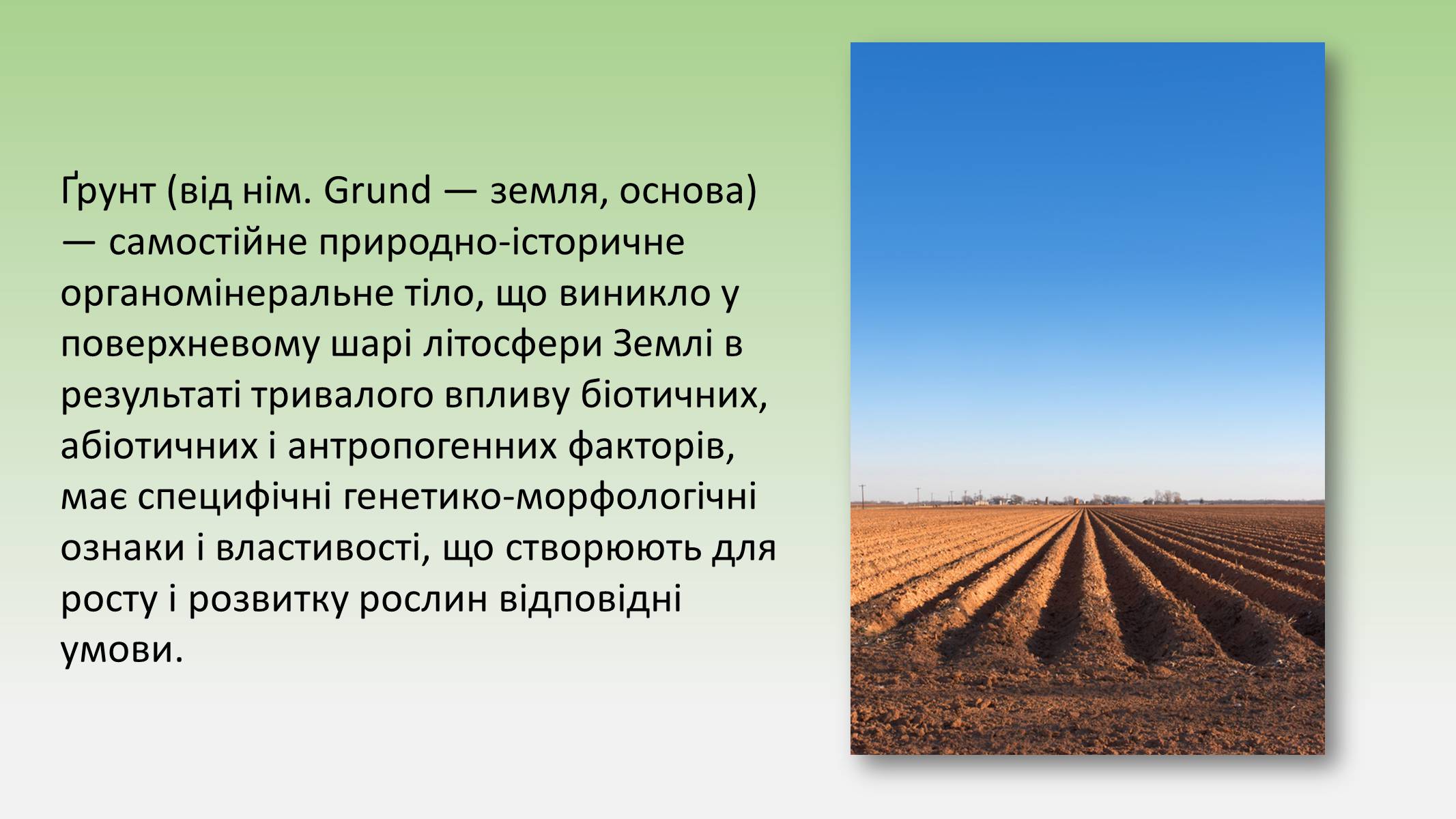 Презентація на тему «Пристосування живих огранізмів до життя в ґрунті» - Слайд #2
