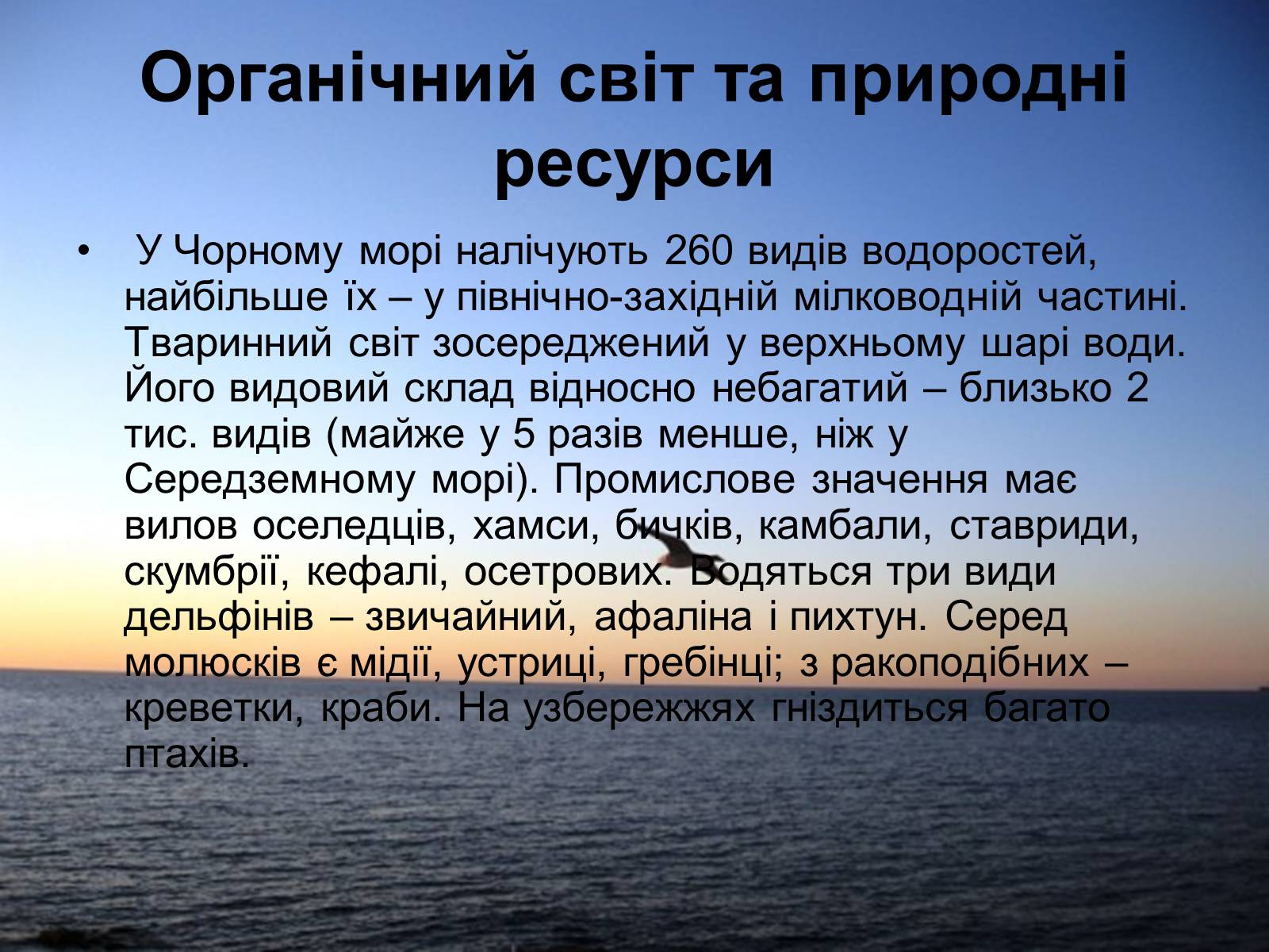 Презентація на тему «Чорне море» (варіант 3) - Слайд #17