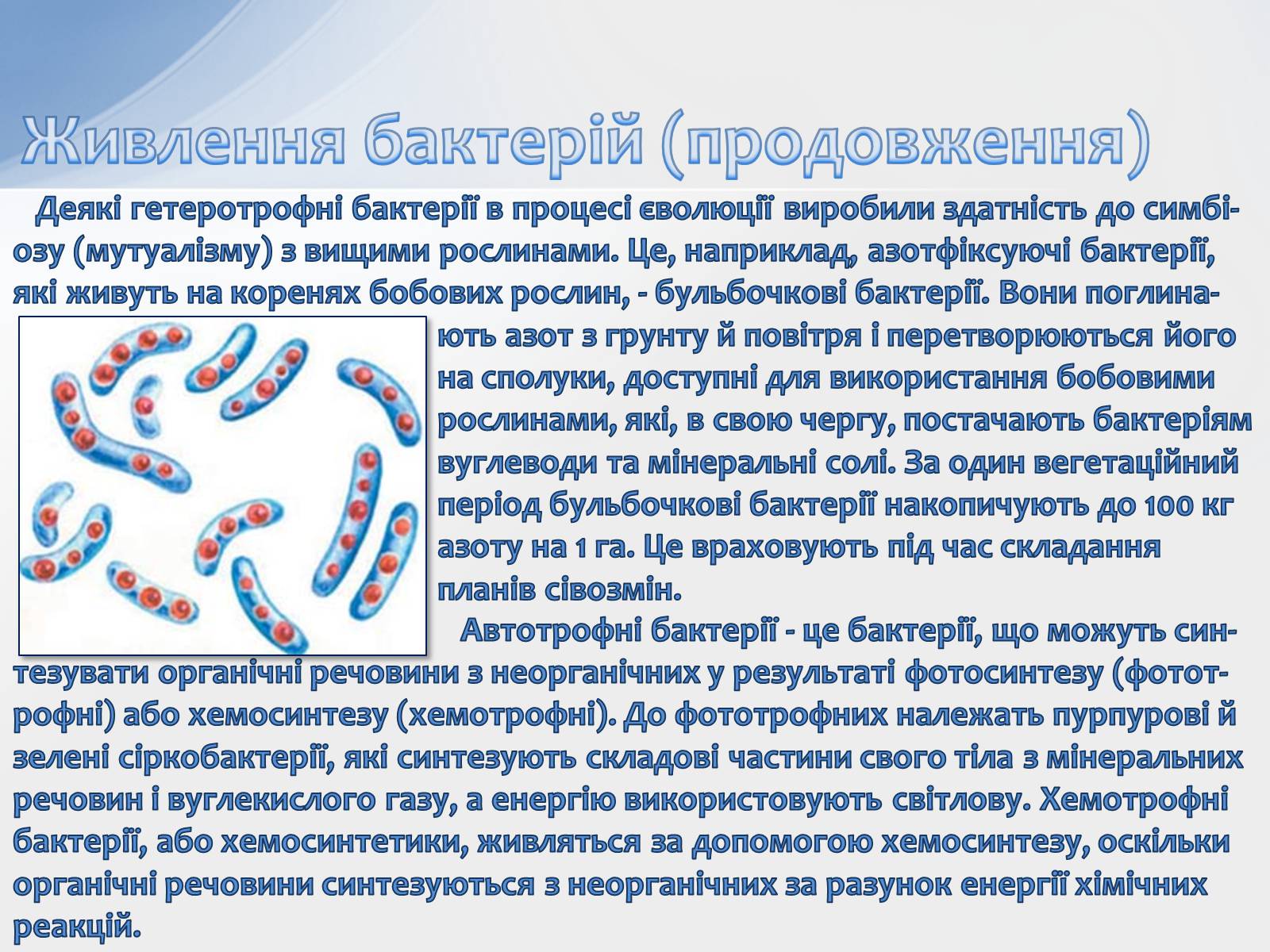 Презентація на тему «Бактерії» (варіант 2) - Слайд #8