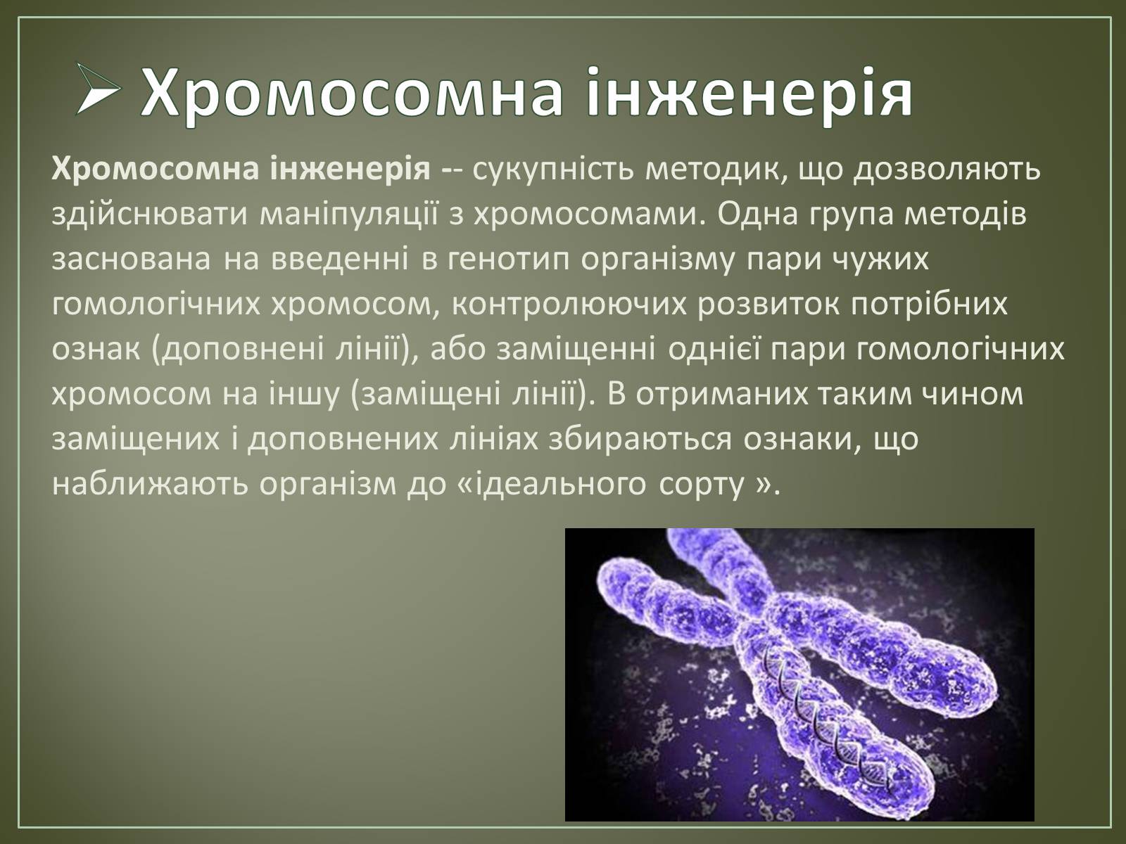 Презентація на тему «Основні напрямки біотехнології» - Слайд #4
