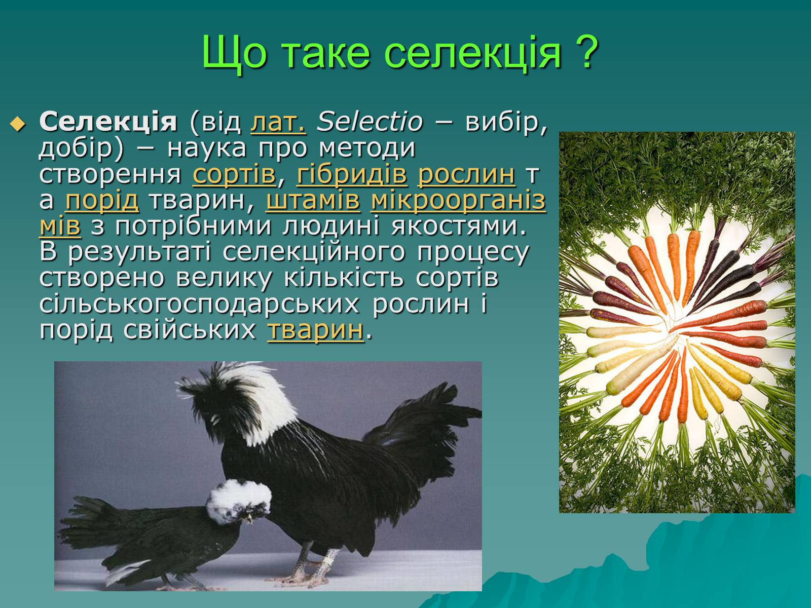 Презентація на тему «Основні поняття про селекції організмів» - Слайд #2