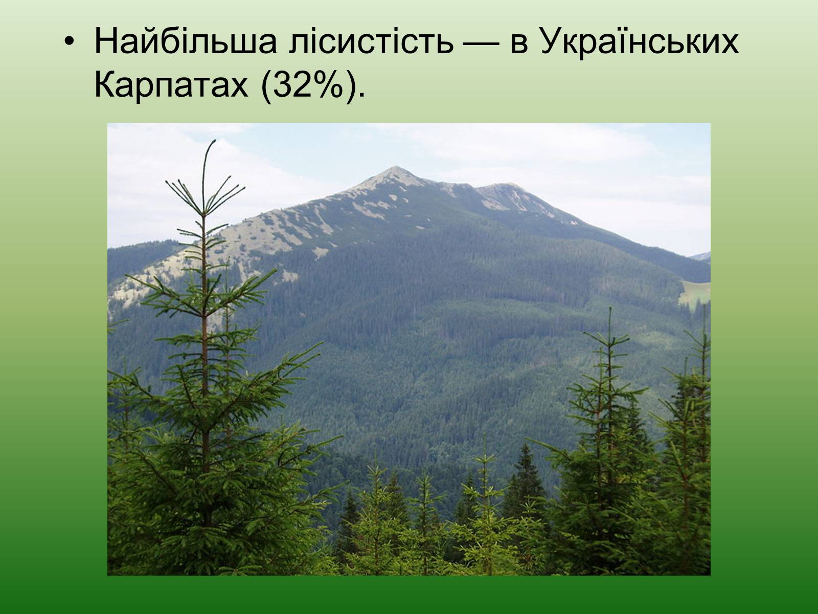 Презентація на тему «Ліси України» - Слайд #4