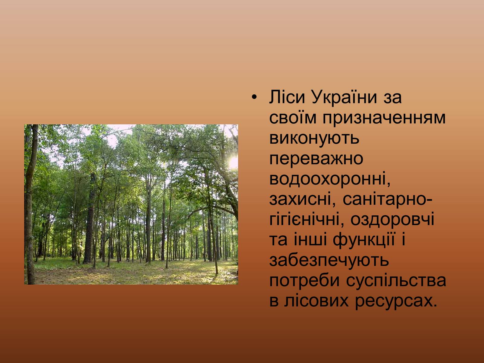 Презентація на тему «Ліси України» - Слайд #5