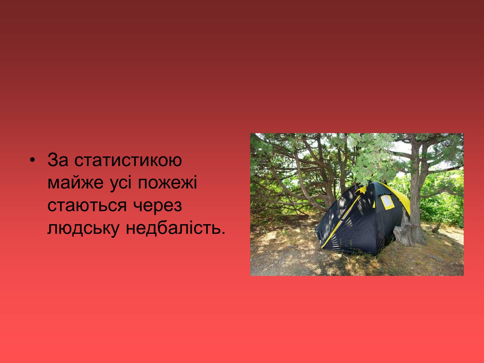 Презентація на тему «Ліси України» - Слайд #8
