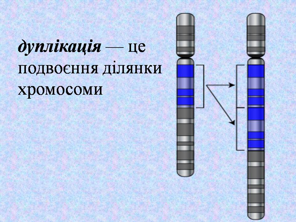 Презентація на тему «Типи мутацій. Мутагени» - Слайд #24