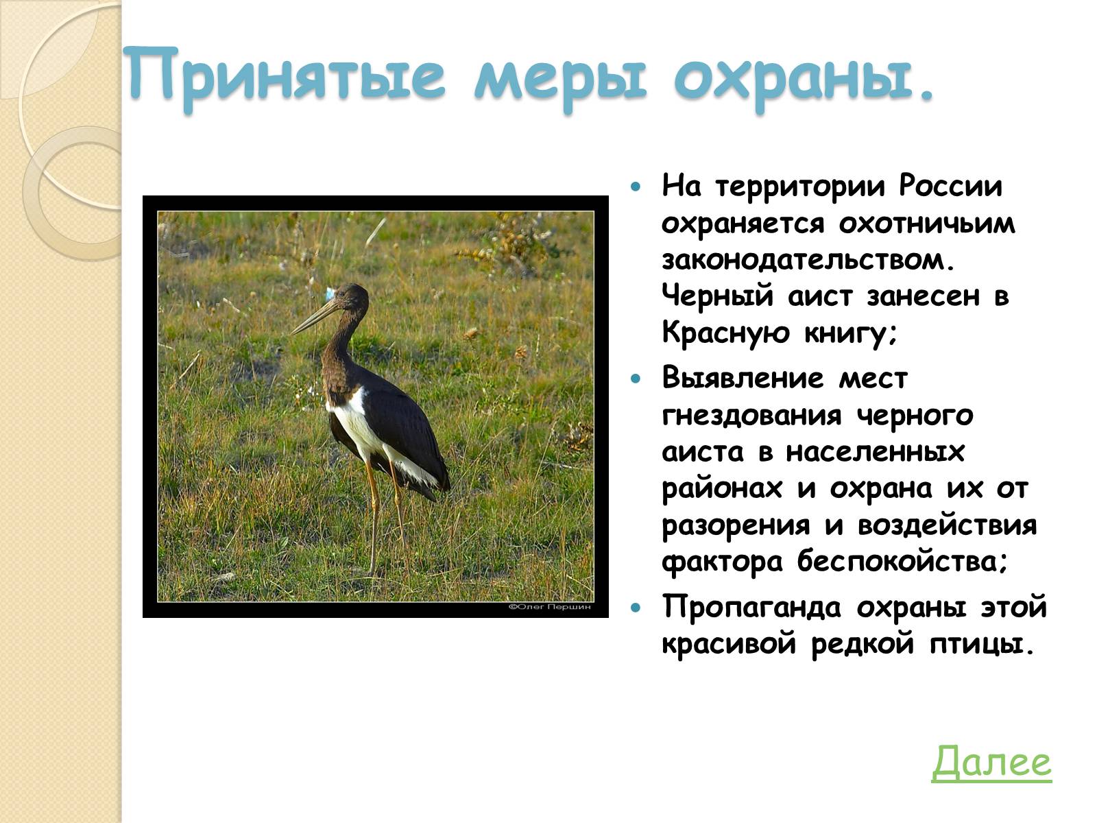Презентація на тему «Охрана птиц» - Слайд #9