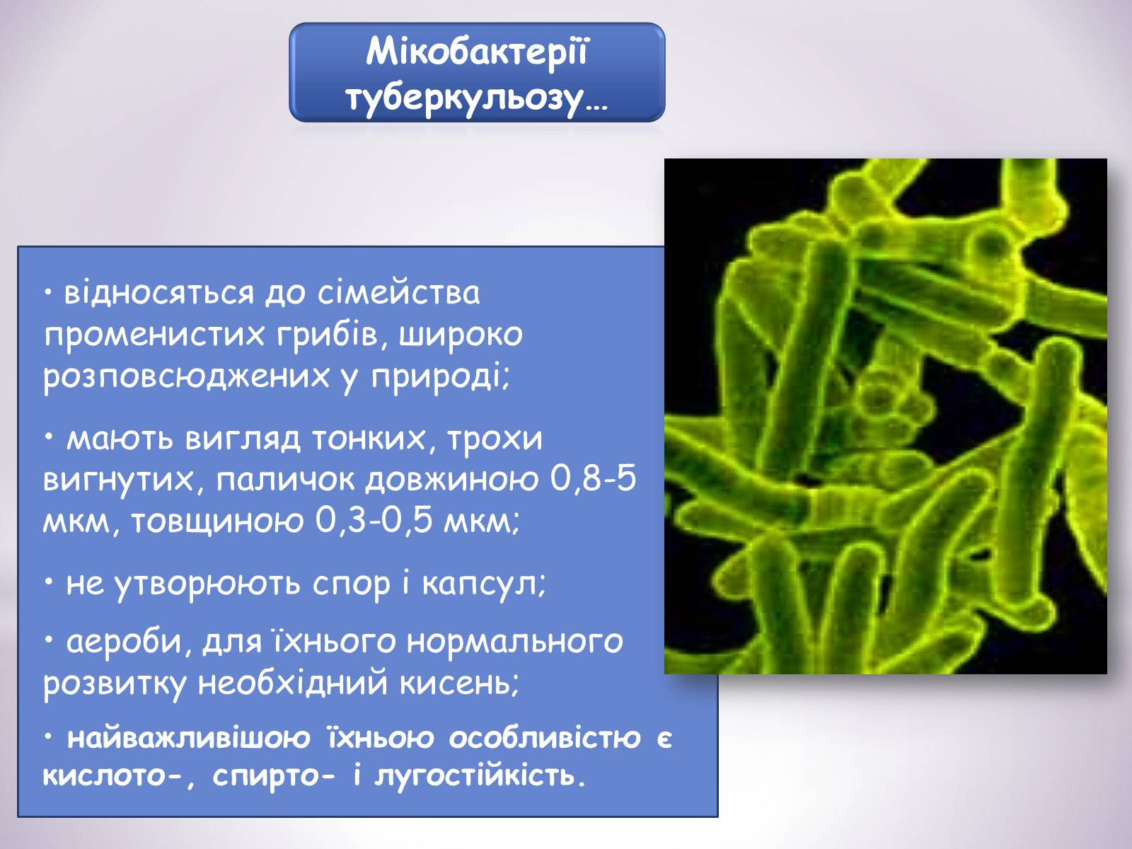 Презентація на тему «Туберкульоз» (варіант 6) - Слайд #6