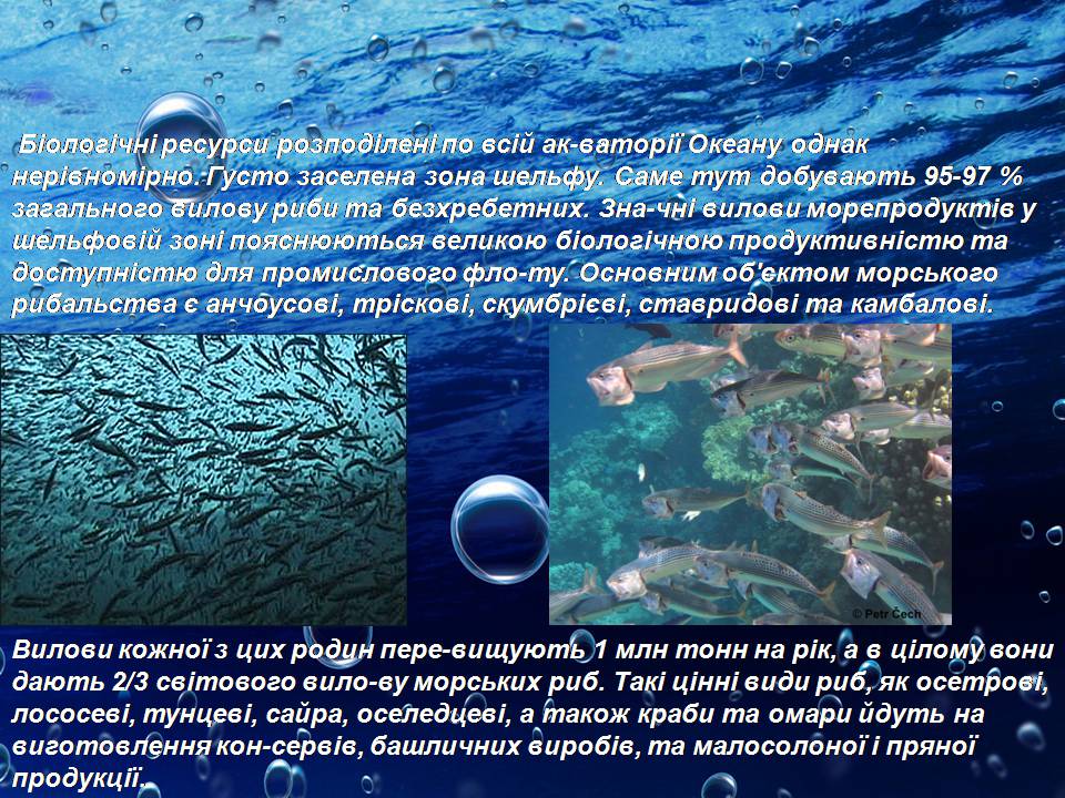 Презентація на тему «Біологічні ресурси світового океану» - Слайд #4