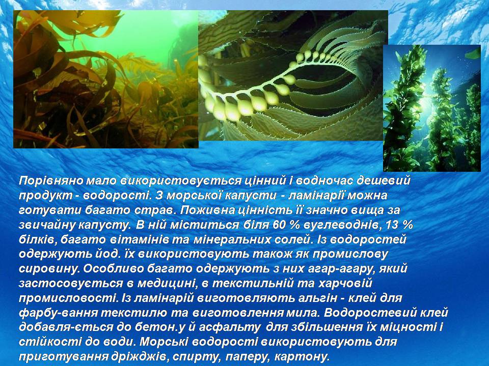 Презентація на тему «Біологічні ресурси світового океану» - Слайд #9