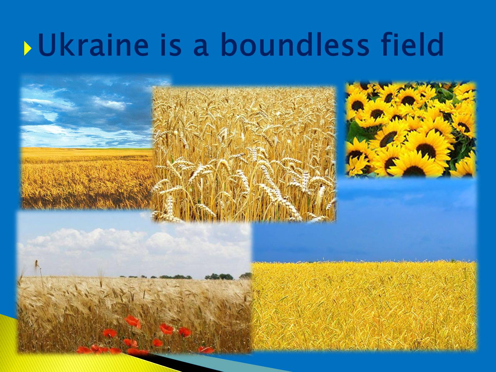 Презентація на тему «I love Ukraine, very much» - Слайд #3
