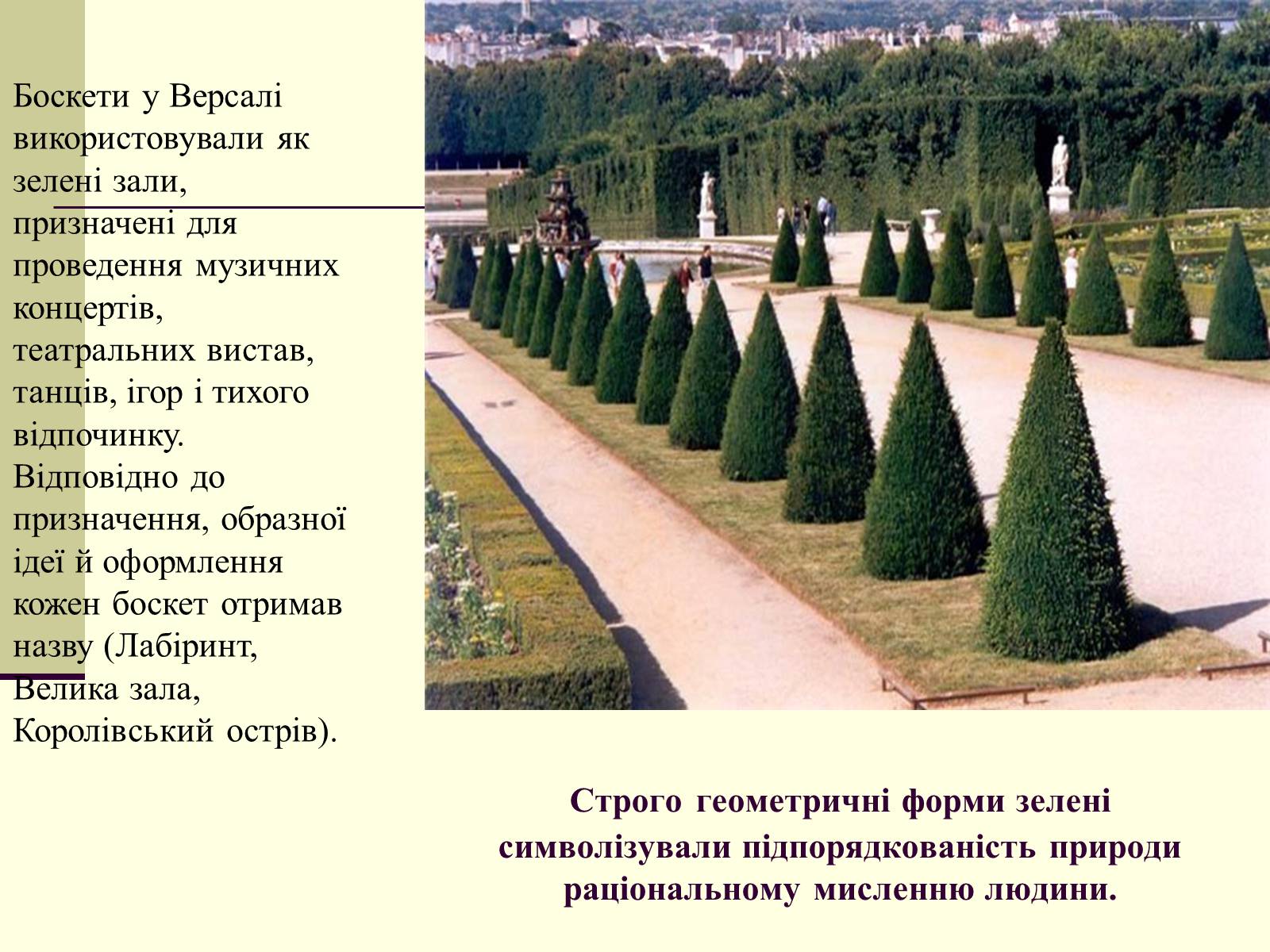 Презентація на тему «Садово-паркова культура» (варіант 1) - Слайд #17