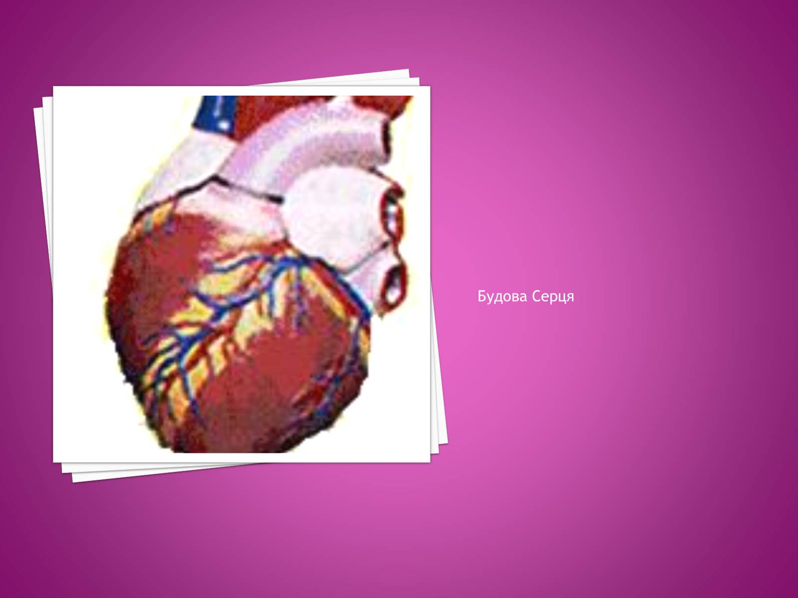 Презентація на тему «Хвороби серцево-судинної системи» (варіант 2) - Слайд #29