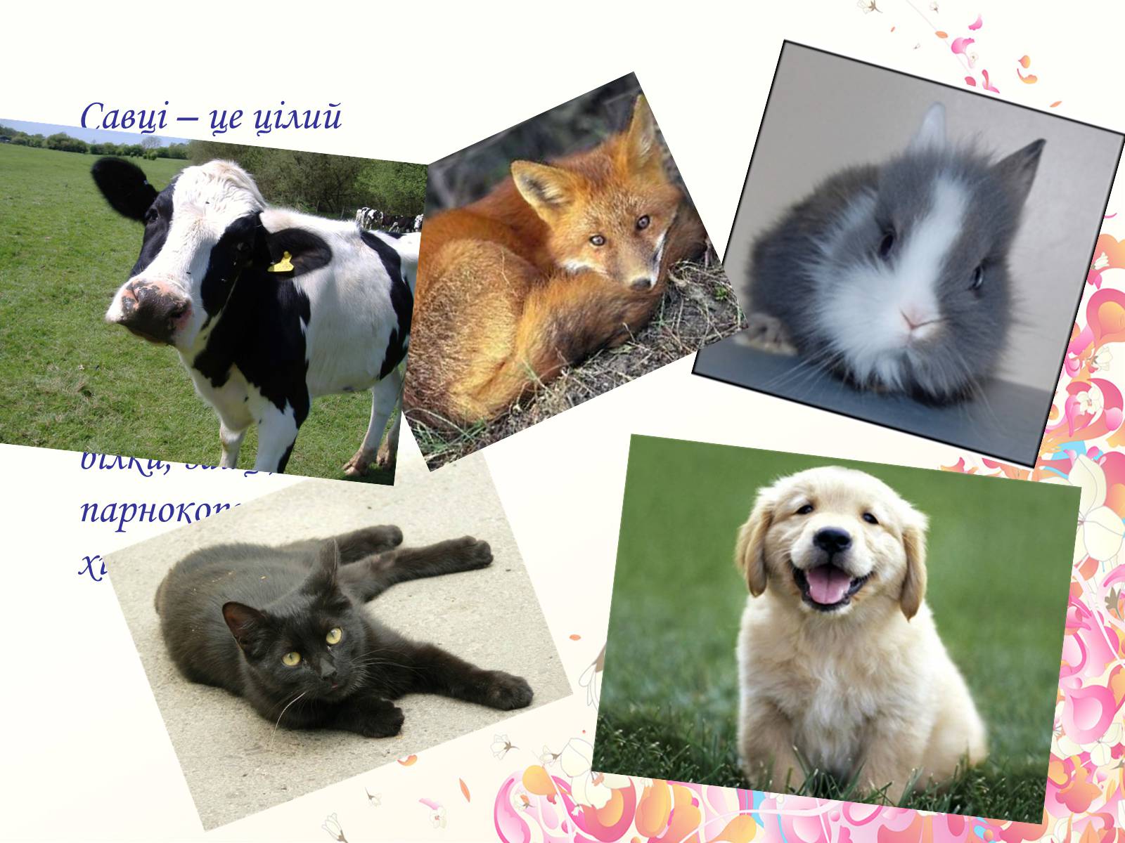Презентація на тему «Тваринний світ України» - Слайд #8