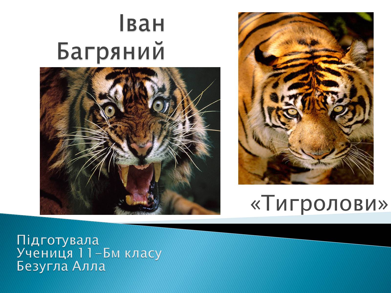 Презентація на тему «І.Багряний. «Тигролови»» - Слайд #2