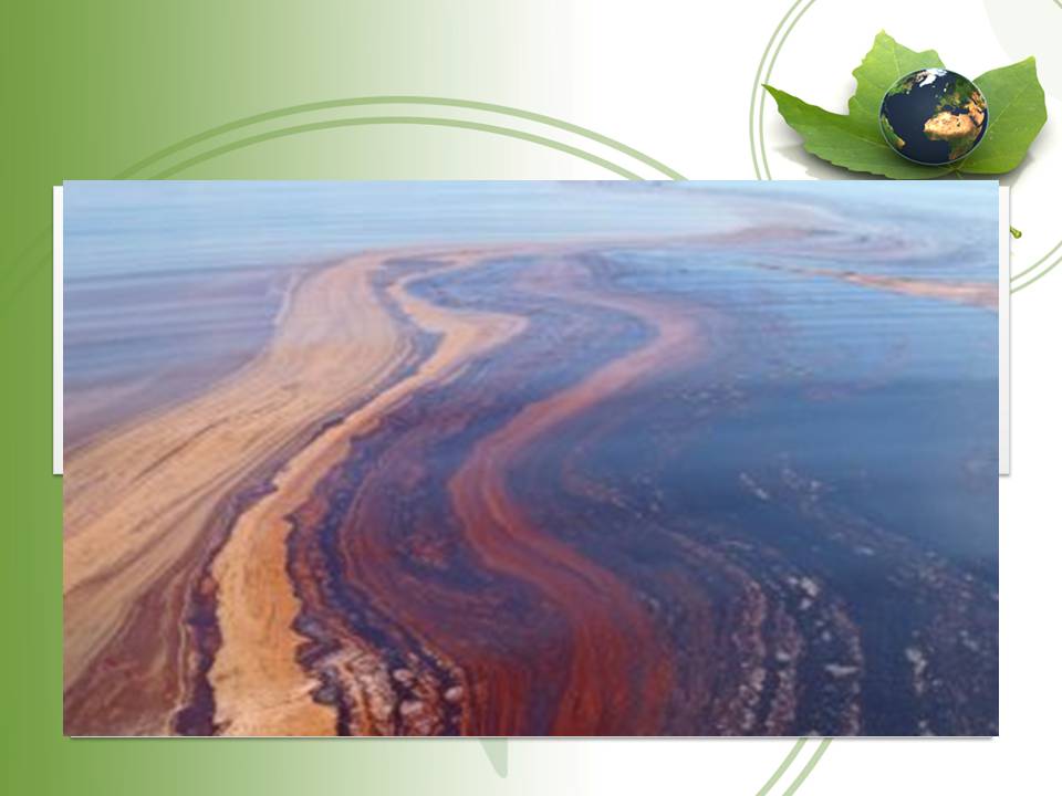 Презентація на тему «Вплив нафти та газу на екологію» - Слайд #10