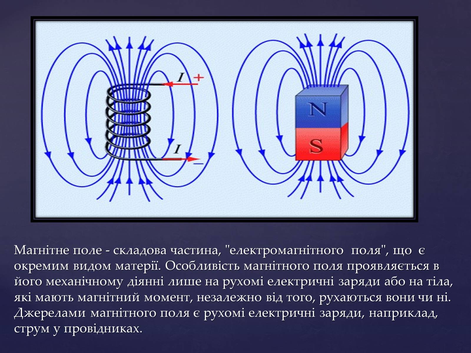 Презентація на тему «Вплив магнітного поля на живі організми» (варіант 2) - Слайд #3