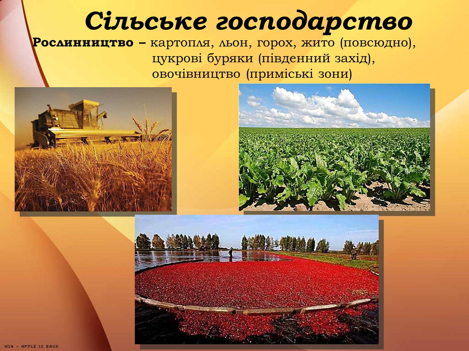 Презентація на тему «Республіка Білорусь» (варіант 3) - Слайд #20