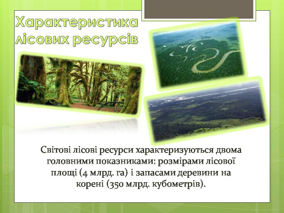 Презентація на тему «Стан тропічних лісів» - Слайд #4