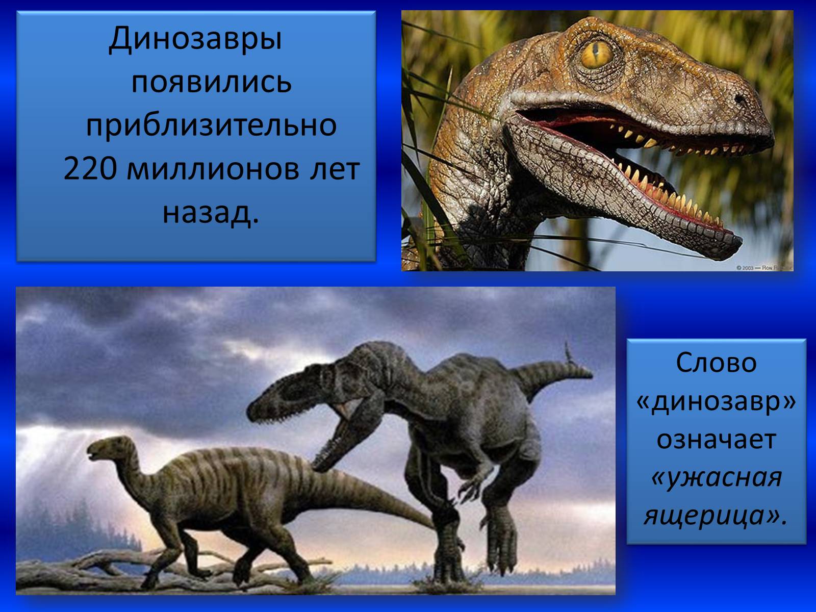 Презентація на тему «Век динозавров» - Слайд #2