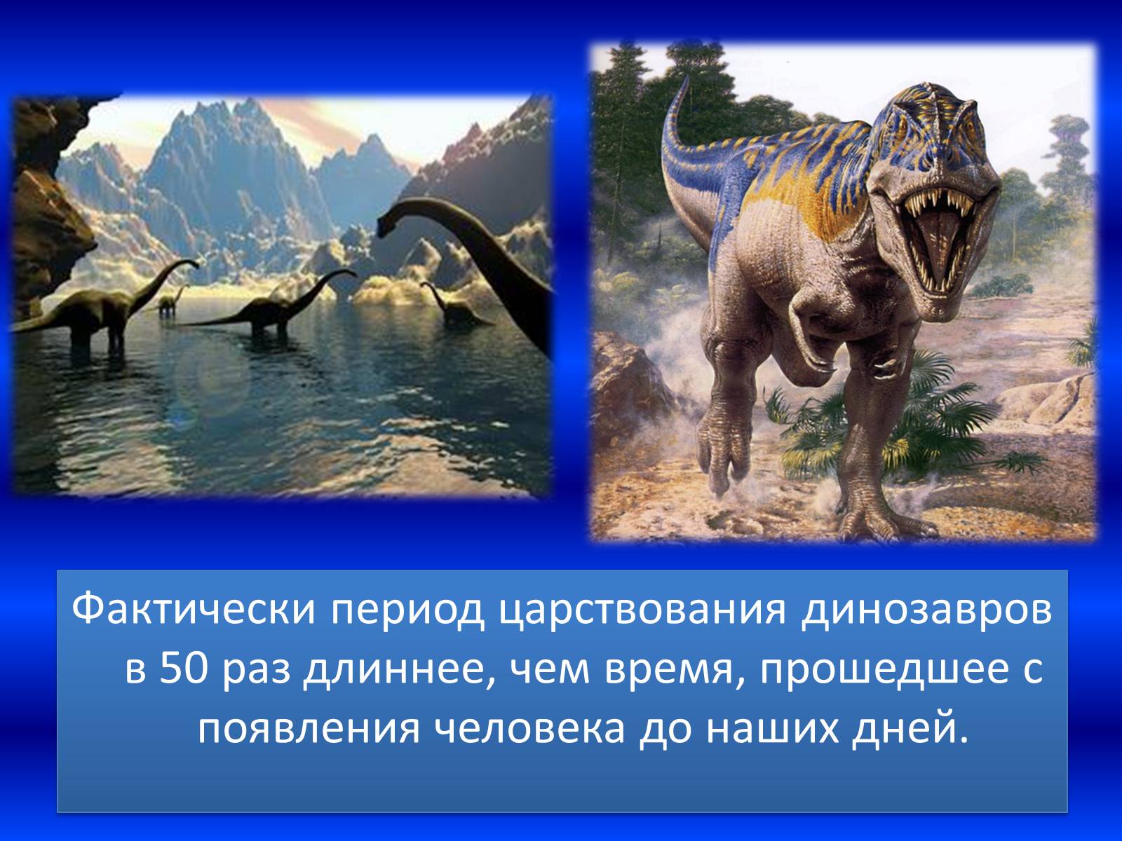 Презентація на тему «Век динозавров» - Слайд #3