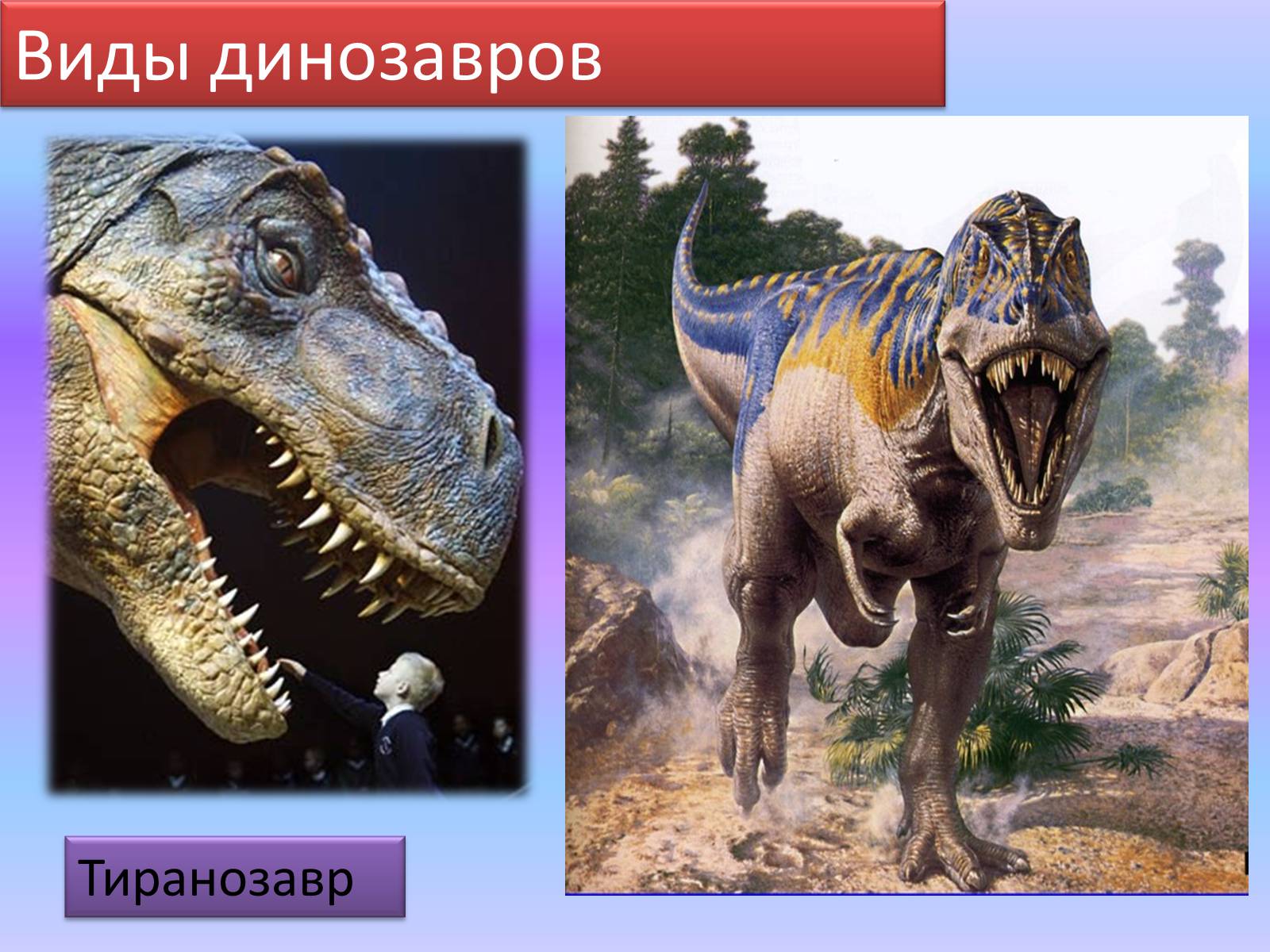 Презентація на тему «Век динозавров» - Слайд #8