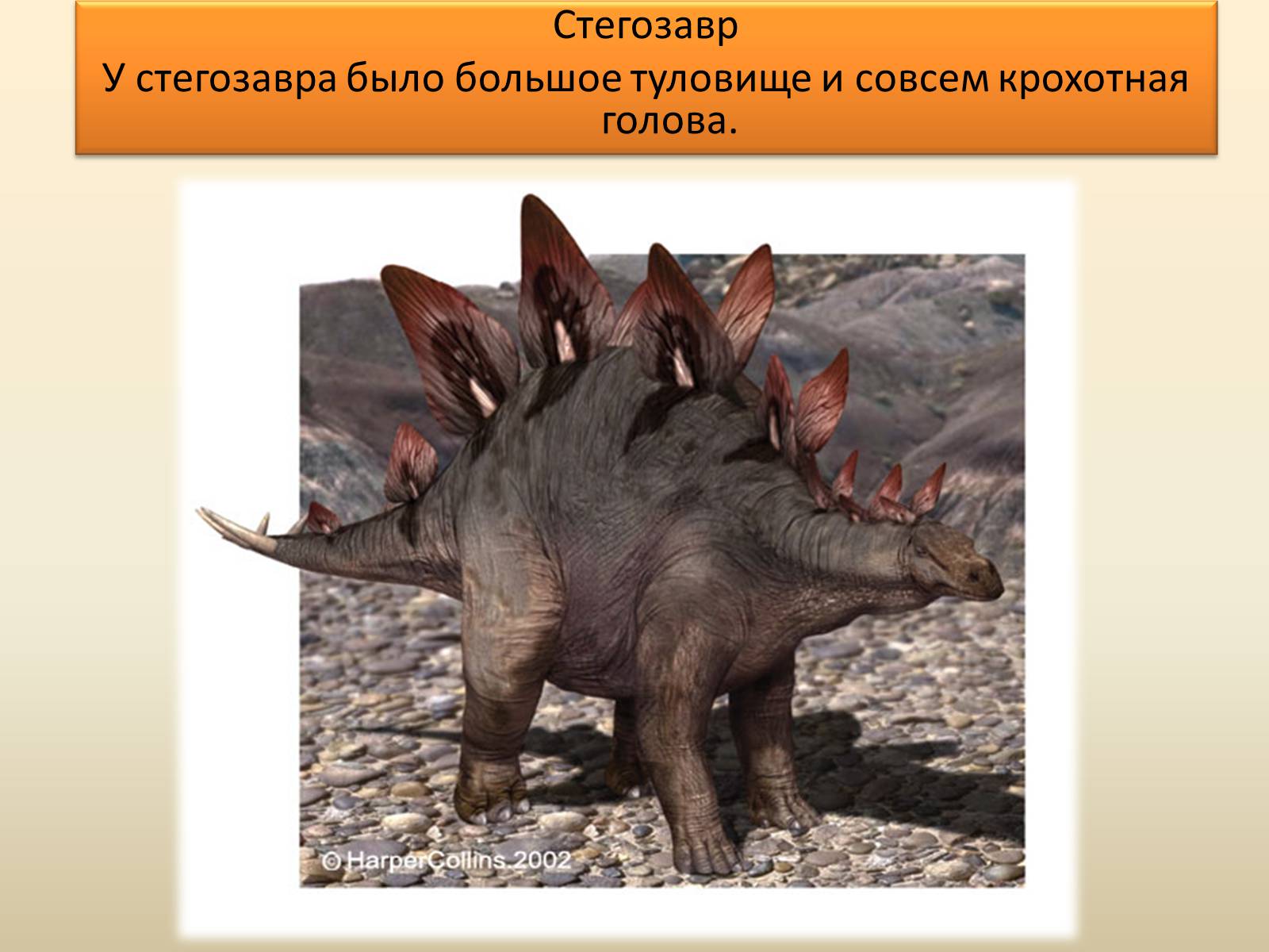 Презентація на тему «Век динозавров» - Слайд #13