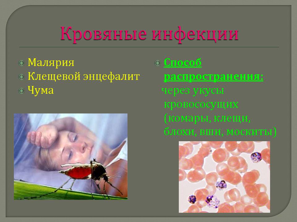 Презентація на тему «Инфекционные заболевания и их профилактика» - Слайд #8