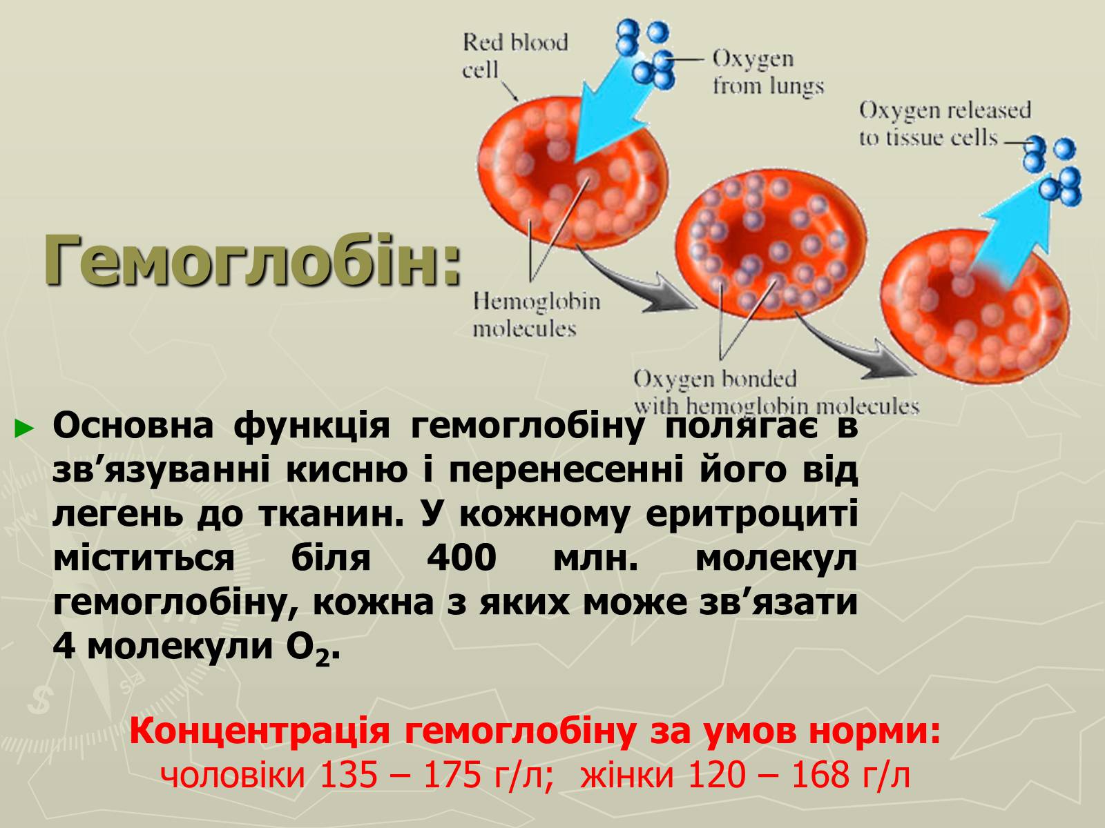 Презентація на тему «Біохімія крові» - Слайд #5