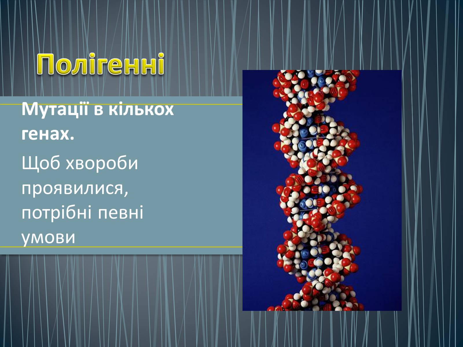 Презентація на тему «Типи генетичних хвороб людини» (варіант 1) - Слайд #8