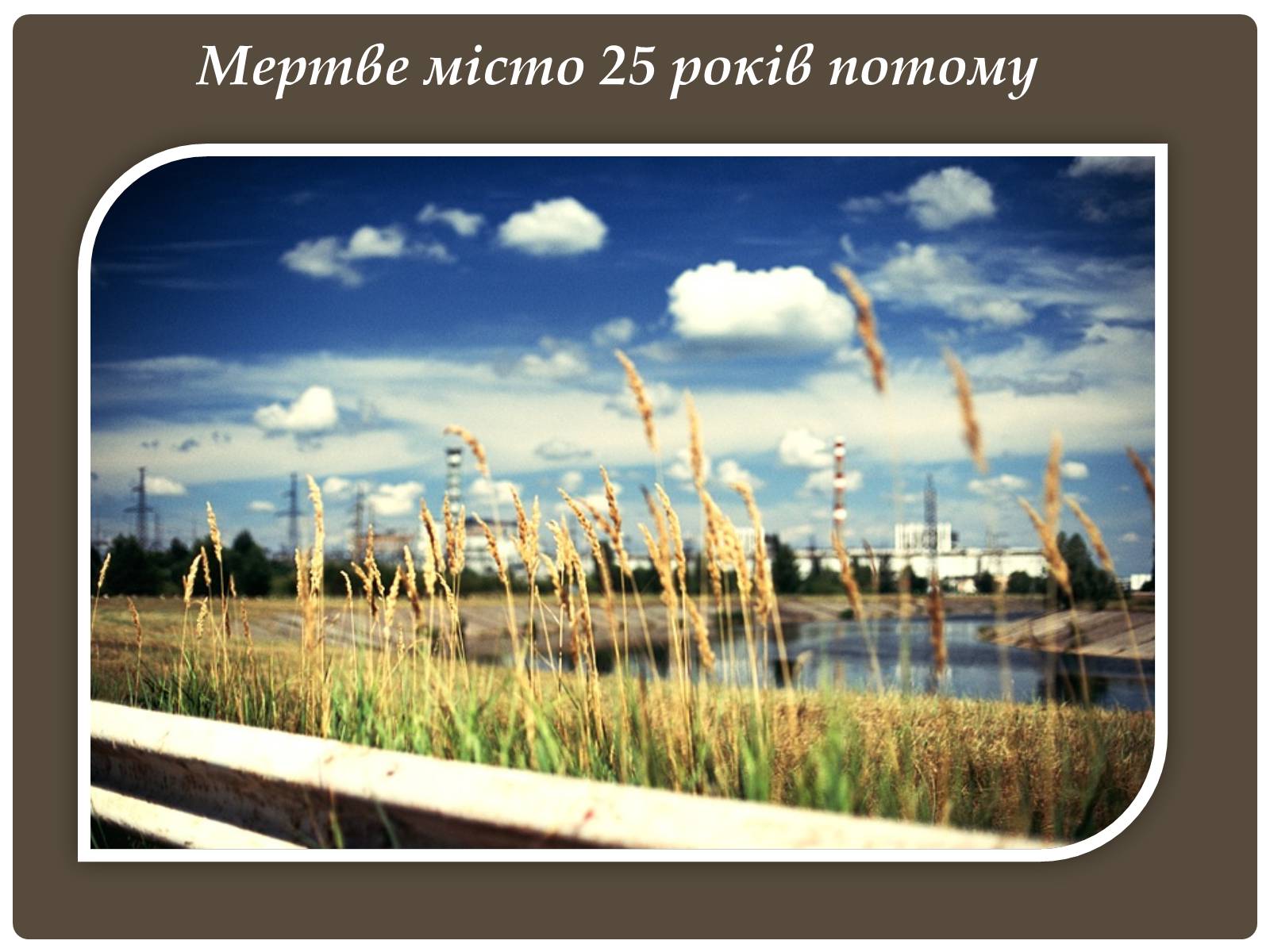 Презентація на тему «Чорнобиль» (варіант 6) - Слайд #27