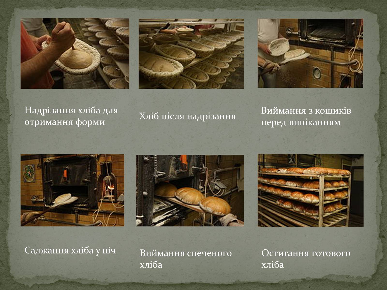Презентація на тему «Виробництво хліба» (варіант 2) - Слайд #6