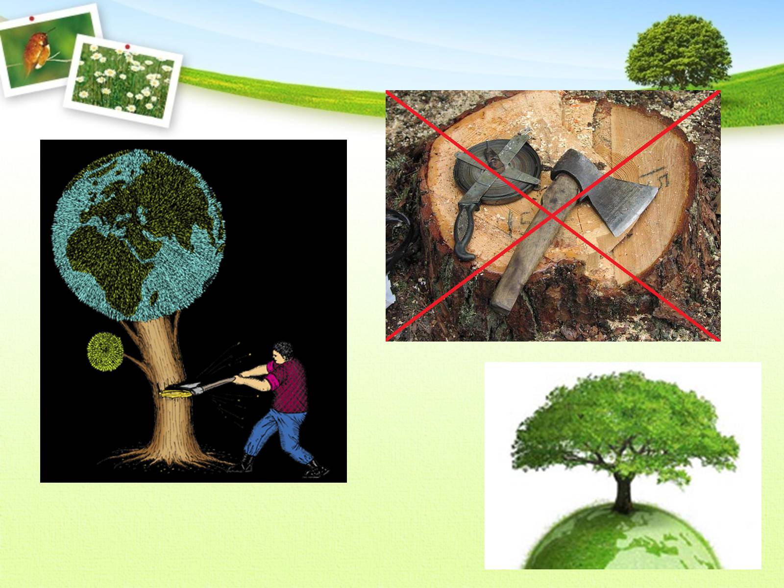 Презентація на тему «Вирубування лісів» - Слайд #19