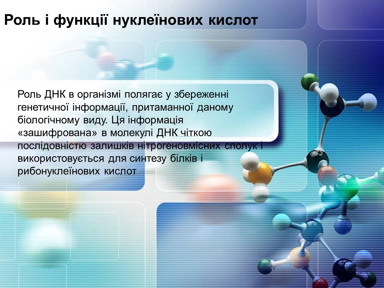 Презентація на тему «Нуклеїнові кислоти» (варіант 4) - Слайд #13