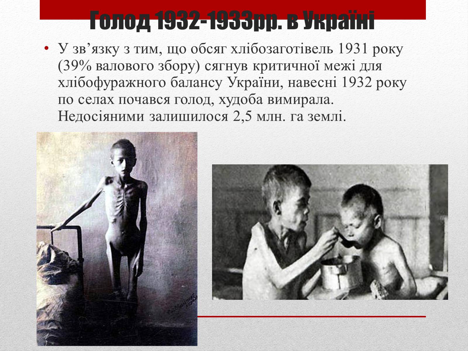Презентація на тему «80 років Голодомору в Україні» - Слайд #9