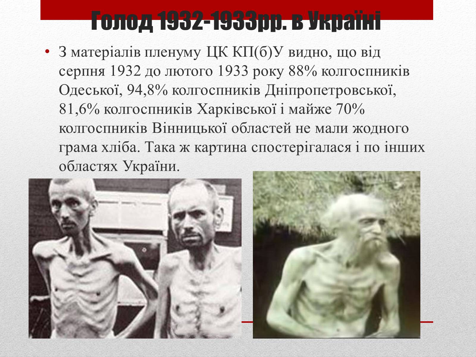 Презентація на тему «80 років Голодомору в Україні» - Слайд #10