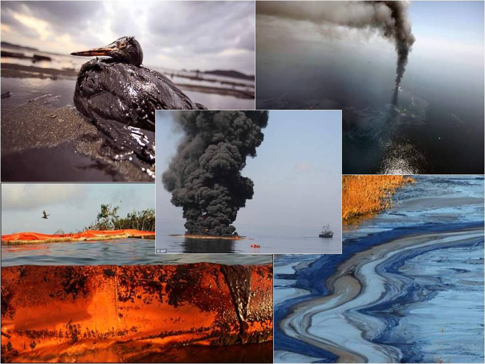 Природное загрязнение связано. Природные экологические катастрофы. Антропогенные катастрофы в природе. Природные и техногенные источники. Природные источники загрязнения природы.