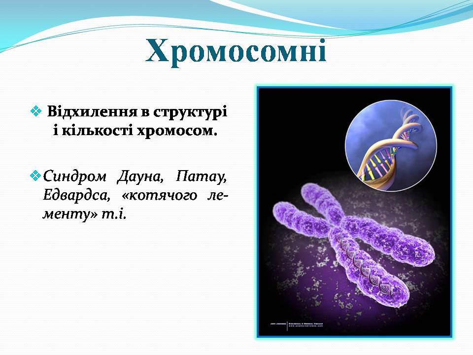 Презентація на тему «Генетичні захворювання» (варіант 2) - Слайд #15