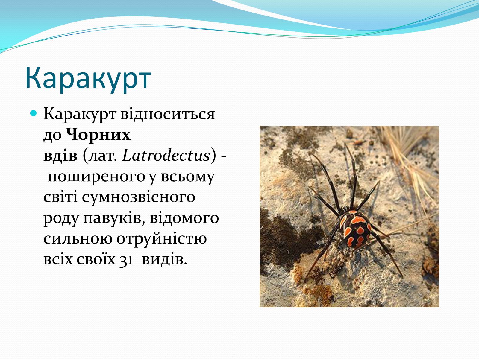Презентація на тему «Укуси комах» - Слайд #8