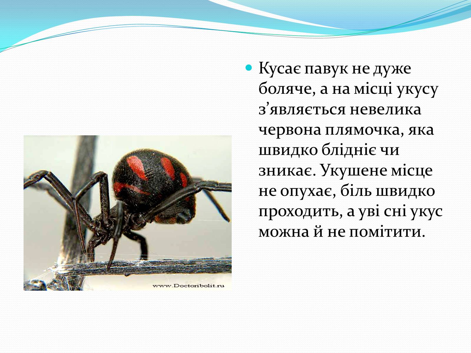 Презентація на тему «Укуси комах» - Слайд #9