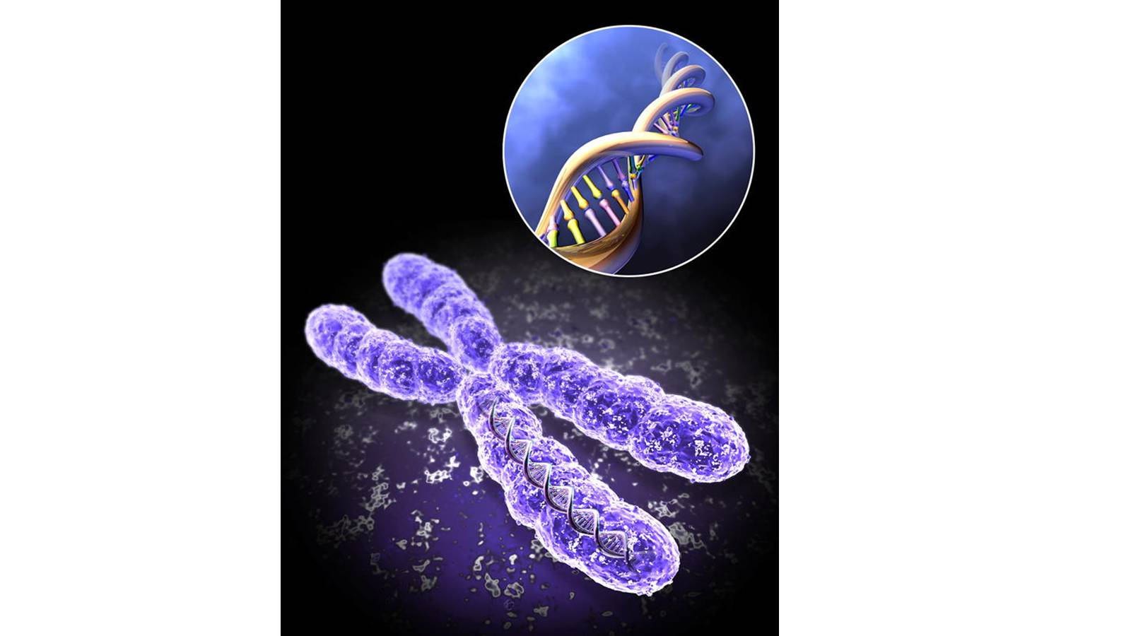 Хромосомы живых клеток. Наследственные заболевания генетика. ДНК И хромосомы. Хромосомы картинки.