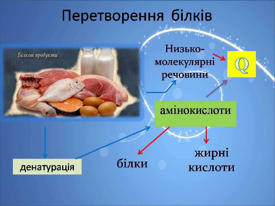 Презентація на тему «Жири, вуглеводи, білки, вітаміни як компоненти їжі» (варіант 2) - Слайд #11