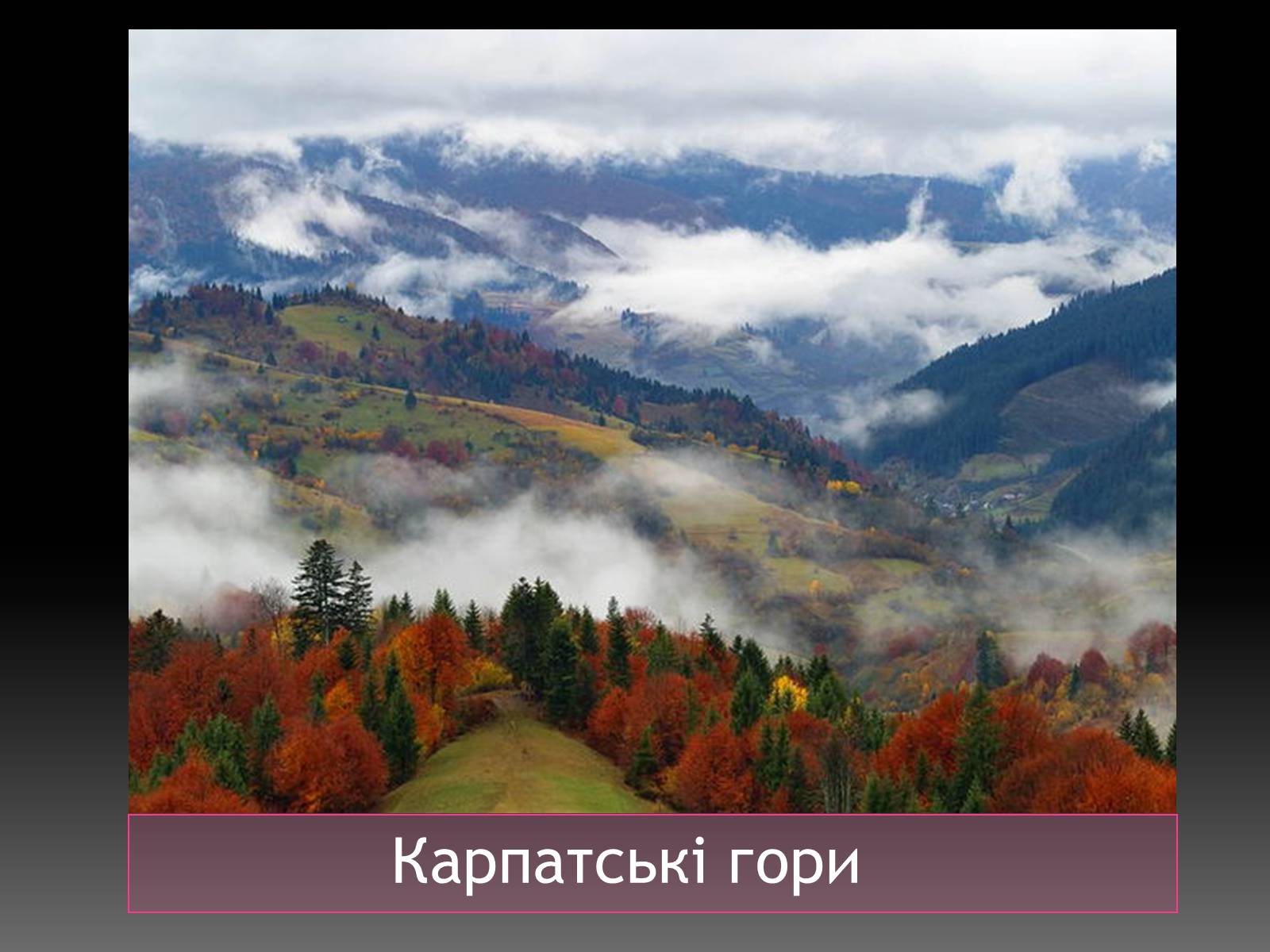 Презентація на тему «Карпатський район» - Слайд #5