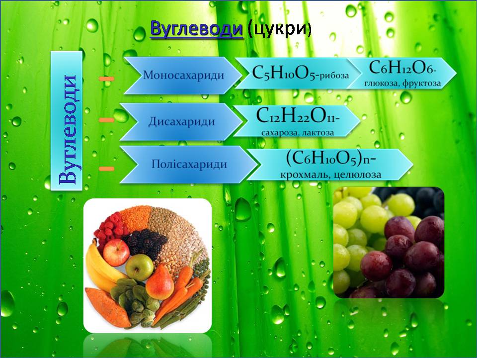 Презентація на тему «Жири, вуглеводи, білки, вітаміни як компоненти їжі» (варіант 2) - Слайд #15