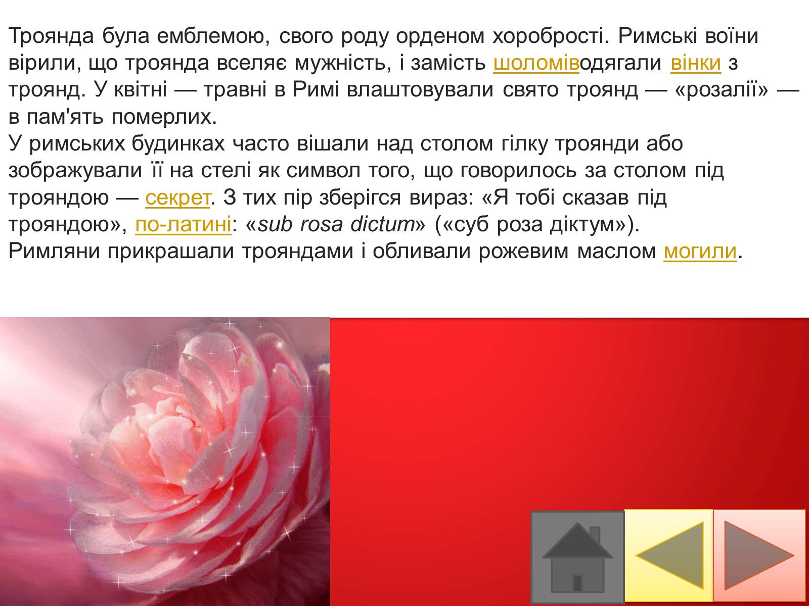 Презентація на тему «Троянди» (варіант 2) - Слайд #12