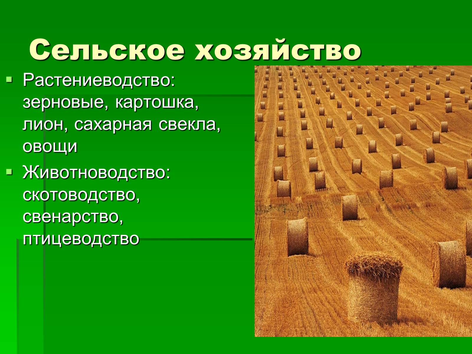 Презентація на тему «Республика Белорусь» - Слайд #9